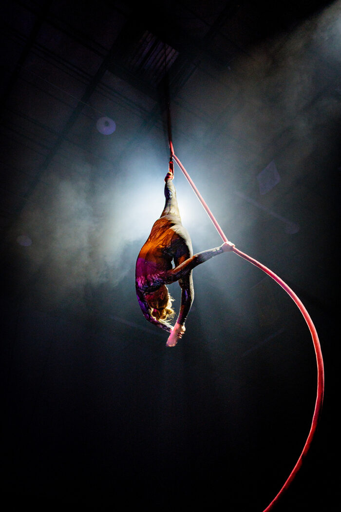 Spanish Webs - Image 5