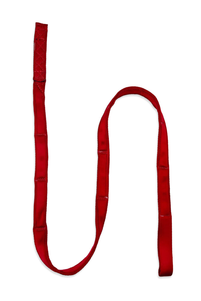 Lanyard for Spanish Web - Image 3