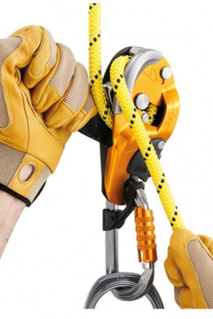 Petzl Rig® - Image 2