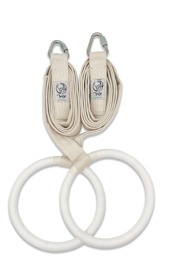 Roman Rings (NATA Destruction Certified Only)